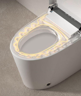 Smart toilet