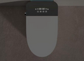 Smart toilet