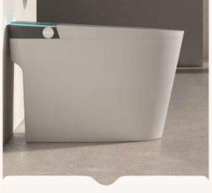 Smart toilet