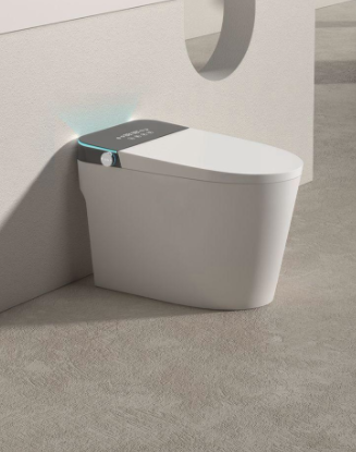 Smart toilet