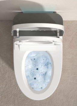 Smart toilet