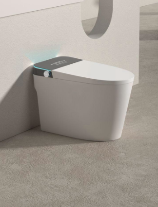 Smart toilet
