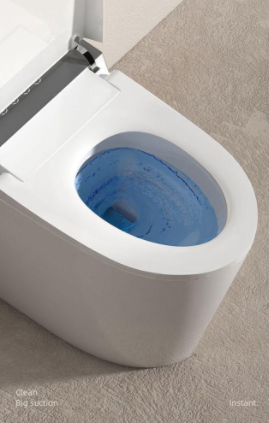 Smart toilet
