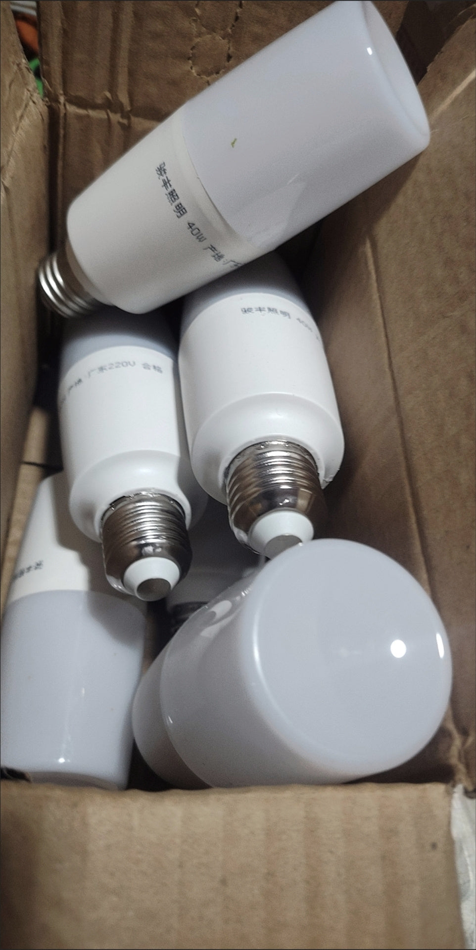40W Light Bulbs