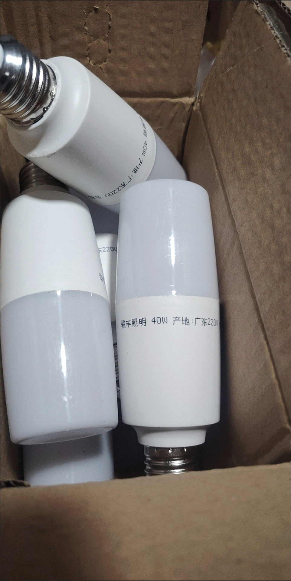 40W Light Bulbs